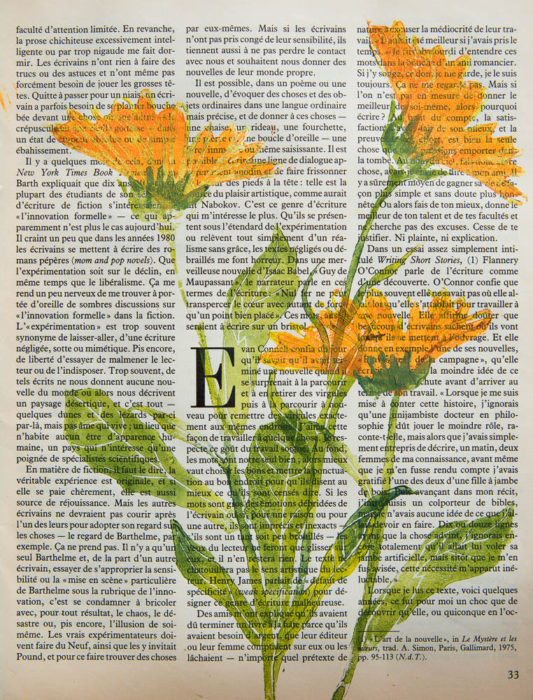 Morgunfrúr / Calendulas